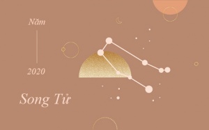 Tử vi cung hoàng đạo Song Tử 2020: Một năm vô cùng lãng mạn, hạnh phúc
