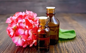 Những loại tinh dầu giúp giảm triệu chứng khó chịu của bệnh chàm