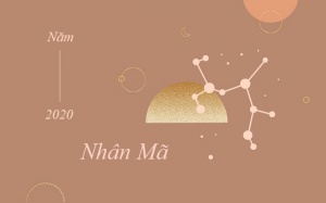 Tử vi cung hoàng đạo Nhân Mã 2020: Một năm thuận lợi để phát triển sự nghiệp