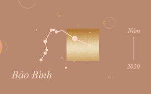 Tử vi cung hoàng đạo Bảo Bình 2020: Bạn sẽ có cơ hội phát triển sự nghiệp