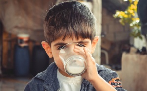 Video: Trẻ uống sữa nguyên kem, lớn không bị béo phì