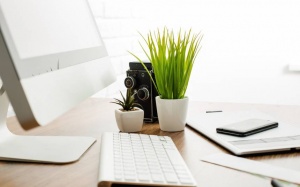 Video: 5 lợi ích của việc trồng cây cảnh trong nhà