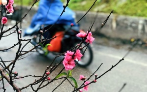 Thời tiết cả nước dịp Tết Nguyên đán Canh Tý như thế nào?