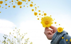 Vì sao sung túc không hẳn là sự giàu có?