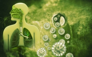 Làm sao bảo vệ mình khỏi novel coronavirus (nCoV), chủng virus mới gây viêm phổi cấp?