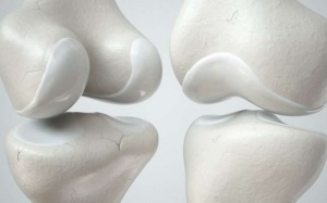 Ăn gì tốt cho xương khớp, giúp tái tạo sụn khớp?