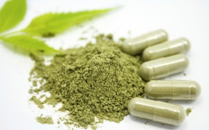 Tán sỏi mật 2 lần vẫn sót sỏi dùng sản phẩm Đông y được không?