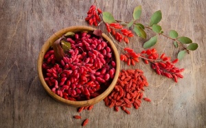 8 lợi ích sức khỏe của câu kỷ tử cho hệ tiêu hóa, miễn dịch