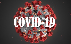 Hiệp hội Thực phẩm chức năng Việt Nam góp phần phòng chống dịch bệnh COVID-19