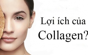 Lợi ích của việc bổ sung collagen cho cơ thể
