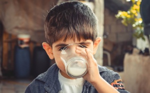 Uống sữa nguyên kem hay sữa tách béo có lợi cho sức khỏe hơn?