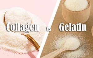 Infographic: Collagen và gelatin có điểm gì giống và khác nhau?