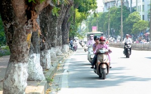 Dự báo thời tiết đêm 11/3 và ngày 12/3: Hà Nội sáng sớm sương mù, trưa chiều giảm mây, ngày nắng