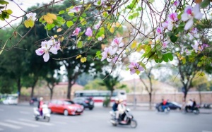 Dự báo thời tiết đêm 27/3 và ngày 28/3: Cuối tuần thời tiết Hà Nội trời nhiều mây, đêm có mưa rào và dông vài nơi, ngày nắng