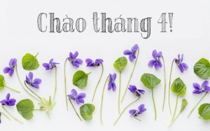 Tử vi tháng 4/2020: Sư Tử nên giữ kết nối với bạn bè, người thân