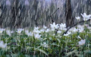 Dự báo thời tiết đêm 1/4 và ngày 2/4: Bắc Bộ trời nhiều mây, đêm và sáng sớm có mưa