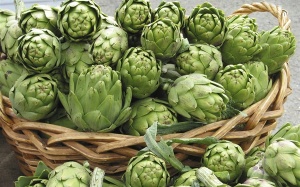 Atiso - 6 lợi ích sức khỏe ít người biết của cả hoa và lá