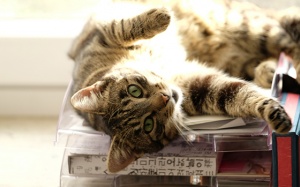 Tử vi thứ Tư (8/4/2020): Song Ngư có thể thoải mái tận hưởng ngày hôm nay