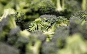 5 giải pháp đơn giản cải thiện hệ miễn dịch trong mùa COVID-19