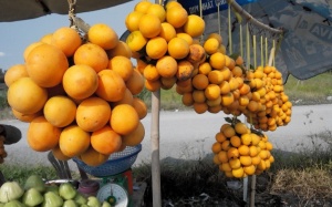 Bạn có biết những công dụng này của quả thanh trà?