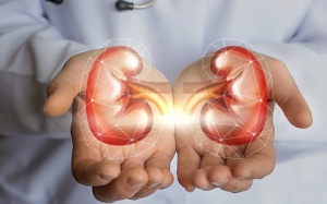 Suy thận độ 1 có chữa khỏi hẳn được không? 