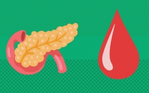 Mối liên hệ giữa bệnh suy tụy ngoại tiết và bệnh đái tháo đường