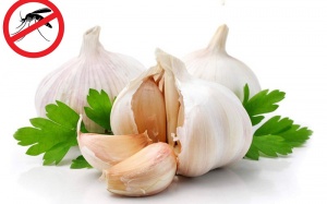 3 thực phẩm giúp chống muỗi hiệu quả