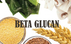 Beta glucan giúp hỗ trợ sức khỏe tim mạch, hệ tiêu hóa và miễn dịch