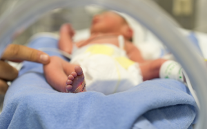 Chế độ ăn nhiều rau củ trước khi mang thai giúp giảm nguy cơ sinh non