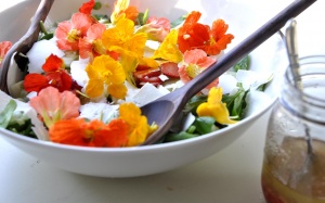 8 loài hoa ăn được mang nhiều lời ích sức khỏe bất ngờ