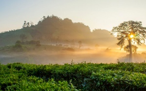 Dự báo thời tiết đêm 27/4 và ngày 28/4: Miền Băc nắng nóng quay trở lại
