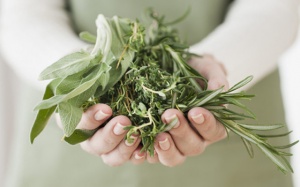 9 loại thảo dược giúp giảm căng thẳng, stress