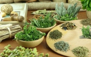 9 loại thảo dược giúp thông mũi bổ phổi, bảo vệ đường hô hấp