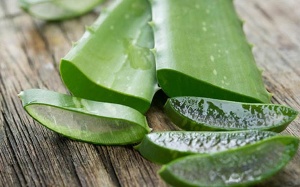 Công dụng của cây nha đam trong làm đẹp và chăm sóc sức khỏe