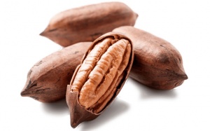 Những lợi ích sức khỏe đến từ hạt hồ đào có thể bạn chưa biết.