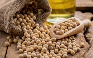Những lợi ích của đậu nành đối với sức khỏe