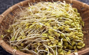 Mắt sáng, dáng xinh nhờ ăn giá đỗ