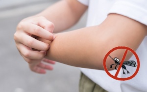 6 nguyên liệu đuổi muỗi tự nhiên bạn nên chuẩn bị sẵn tại nhà