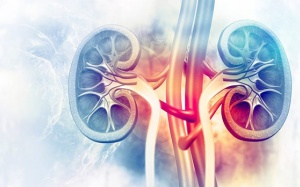 Làm sao ngăn ngừa biến chứng thận, suy thận do đái tháo đường?