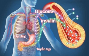 Bị rối loạn dung nạp glucose có phải dùng thêm thuốc gì không?
