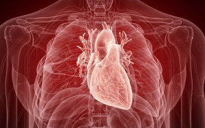 Mối liên hệ giữa chứng viêm với ung thư và Covid-19