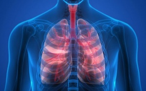 5 cách giữ cho phổi khỏe mạnh