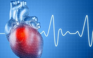 Trái tim của bạn có đang “loạn nhịp” ?