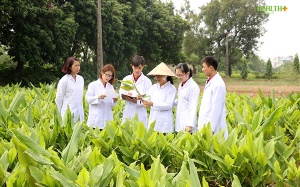 Phát triển cây thuốc dân tộc - Sứ mệnh của các doanh nghiệp Dược Việt Nam