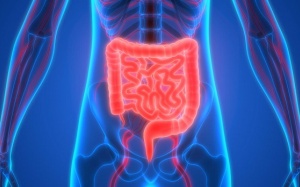 Những thực phẩm cần tránh nếu gặp phải những vấn đề về đường tiêu hóa