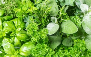 5 loại thảo mộc ngăn ngừa chứng mất trí nhớ 