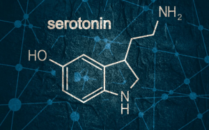 7 thực phẩm giúp tăng cường serotonin