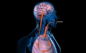 Hút thuốc lá làm tăng nguy cơ ung thư phổi di căn lên não