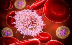 9 sự thật có thể bạn chưa biết về bệnh bạch cầu