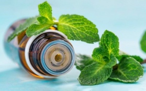 5 loại tinh dầu giúp giảm kiệt sức do nhiệt, ngăn ngừa sốc nhiệt